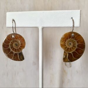 Ammonite Fossil Shell Sterling Silver Earring